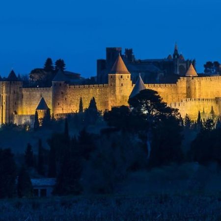 Le Panoramique - Sublime Vue Sur La Cite Lägenhet Carcassonne Exteriör bild