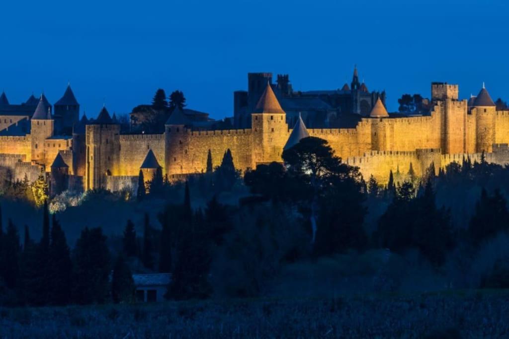 Le Panoramique - Sublime Vue Sur La Cite Lägenhet Carcassonne Exteriör bild